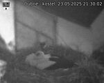 Capi_Dubne_20250523_213002.jpg