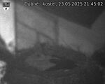 Capi_Dubne_20250523_214502.jpg