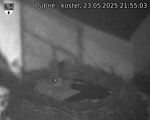 Capi_Dubne_20250523_215503.jpg
