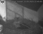 Capi_Dubne_20250523_224503.jpg