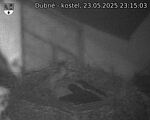 Capi_Dubne_20250523_231503.jpg