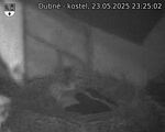 Capi_Dubne_20250523_232502.jpg