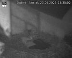 Capi_Dubne_20250523_233502.jpg