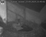 Capi_Dubne_20250523_234502.jpg