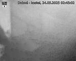 Capi_Dubne_20250524_024502.jpg