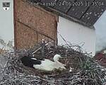 Capi_Dubne_20250524_113504.jpg