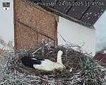 Capi_Dubne_20250524_114504.jpg
