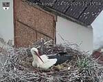 Capi_Dubne_20250524_121504.jpg
