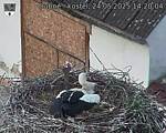 Capi_Dubne_20250524_142004.jpg