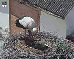 Capi_Dubne_20250524_145502.jpg