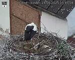 Capi_Dubne_20250524_154504.jpg