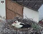 Capi_Dubne_20250524_155503.jpg