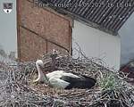 Capi_Dubne_20250524_161004.jpg