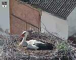 Capi_Dubne_20250524_163002.jpg