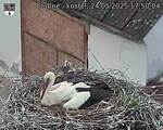 Capi_Dubne_20250524_175004.jpg