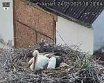 Capi_Dubne_20250524_182004.jpg