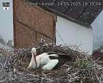 Capi_Dubne_20250524_193504.jpg