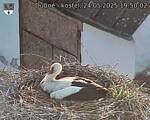 Capi_Dubne_20250524_195002.jpg
