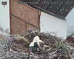 Capi_Dubne_20250524_203503.jpg
