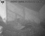 Capi_Dubne_20250524_214502.jpg