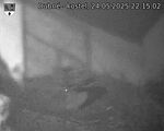 Capi_Dubne_20250524_221502.jpg