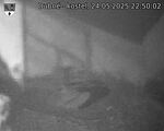 Capi_Dubne_20250524_225002.jpg