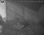 Capi_Dubne_20250524_233002.jpg