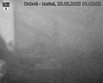 Capi_Dubne_20250525_011502.jpg