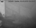 Capi_Dubne_20250525_021502.jpg
