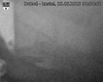 Capi_Dubne_20250525_025002.jpg