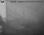Capi_Dubne_20250525_032503.jpg