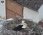 Capi_Dubne_20250525_090504.jpg