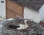 Capi_Dubne_20250525_094004.jpg