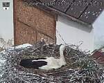 Capi_Dubne_20250525_095003.jpg