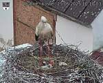 Capi_Dubne_20250525_101003.jpg