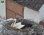 Capi_Dubne_20250525_103503.jpg