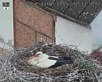 Capi_Dubne_20250525_123002.jpg