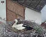 Capi_Dubne_20250525_131002.jpg