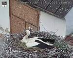 Capi_Dubne_20250525_134003.jpg