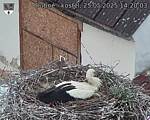 Capi_Dubne_20250525_142003.jpg