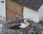 Capi_Dubne_20250525_142503.jpg