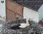 Capi_Dubne_20250525_144002.jpg