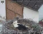 Capi_Dubne_20250525_150003.jpg