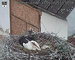 Capi_Dubne_20250525_155004.jpg