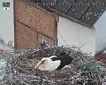 Capi_Dubne_20250525_164003.jpg