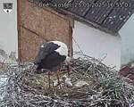 Capi_Dubne_20250525_165503.jpg