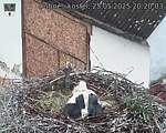 Capi_Dubne_20250525_202003.jpg