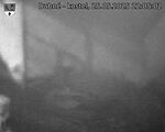 Capi_Dubne_20250525_220502.jpg