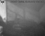 Capi_Dubne_20250525_222002.jpg