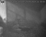 Capi_Dubne_20250525_223503.jpg